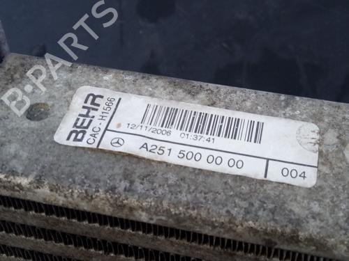 Intercooler MERCEDES-BENZ M-CLASS (W164)  | BP25742180M30 