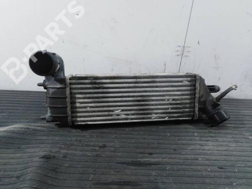 Used Intercooler Intercooler LANCIA PHEDRA (179_) 2.2 JTD (179AXC1A) (128 hp) 7843072 7843072