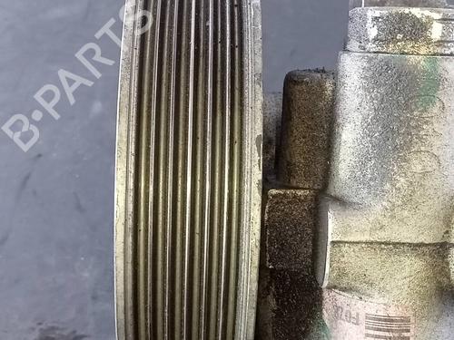 Steering pump FIAT DOBLO Cargo (263_)  | BP19485829M99 