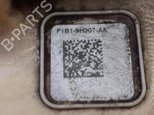 Fuel pump FORD FIESTA VI (CB1, CCN) 1.5 TDCi | BP7073103M76 