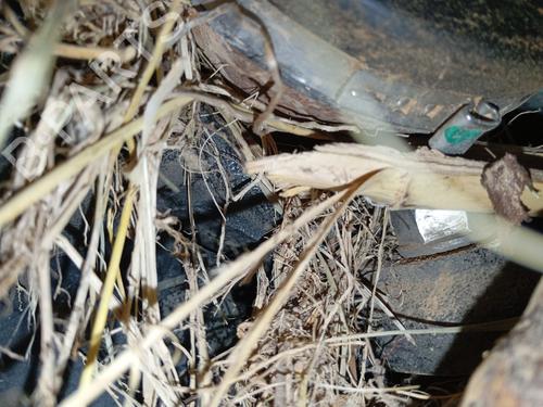 BP32470712M25 main image