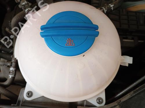 Used Expansion tank VW CRAFTER Platform/Chassis (SZ_) 2.0 TDI RWD (SZB, SZC, SZD, SZH, SZI, SZO, SZP, SZQ) (163 hp) 29019456