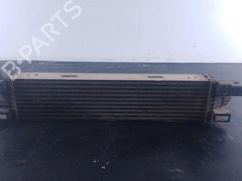 Intercooler FIAT TALENTO Van (296_) | BP31979901M30