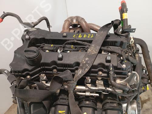 Engine SSANGYONG KORANDO (CK)  | BP22637025M1 