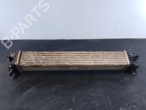Intercooler OPEL MOVANO C Van (U9) 2.2 D | BP28141012M30 