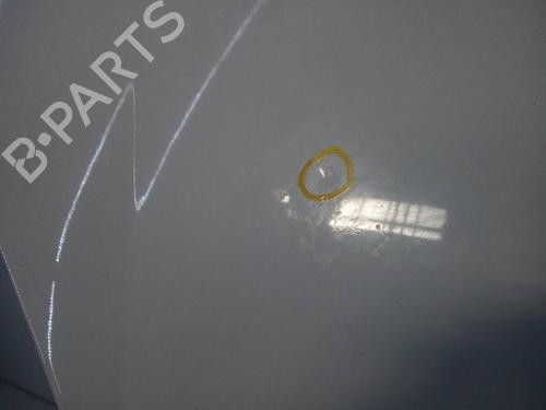 Hood FIAT FIORINO Box Body/MPV (225_)  | BP18144001C1 