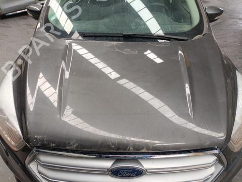 Used Hood FORD KUGA II (DM2) 1.5 EcoBoost (150 hp) 24639098