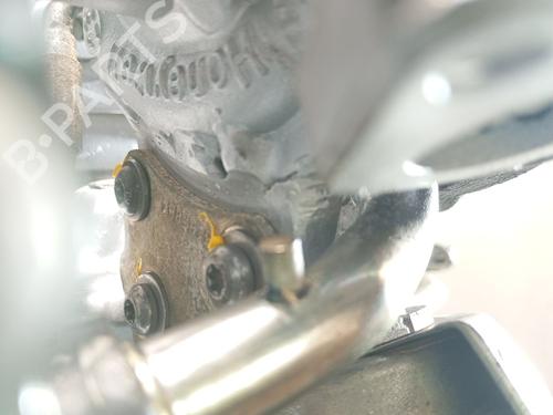 Motore FIAT DOBLO Bus (263_) 1.3 D Multijet (263AXU1A, 263AYB1A) | BP30684579M1