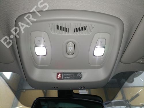 Plafonnier RENAULT KADJAR (HA_, HL_) 1.5 BLUE dCi 115 (HLA6) (116 hp) 32090393