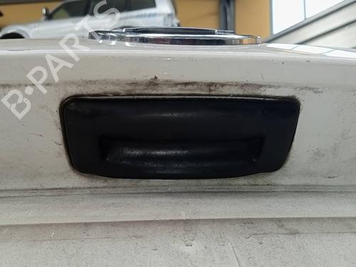 Used Tailgate handle SKODA RAPID (NH3, NK3, NK6) 1.6 TDI (115 hp) 15579129