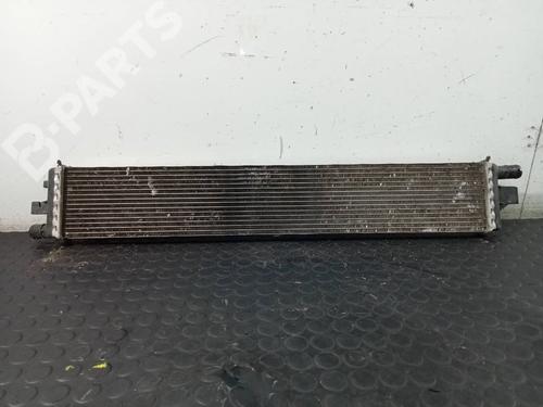 Used Oil radiator Oil radiator RENAULT MASTER III Van (FV) 2.3 dCi 180 FWD (FV04, FV07) (179 hp) 11039346 11039346