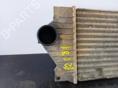 Intercooler MERCEDES-BENZ M-CLASS (W163)  | BP18621650M30 