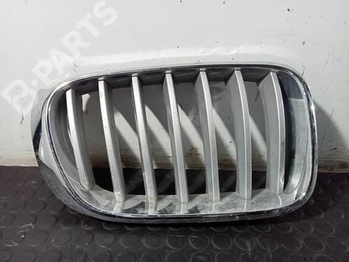 Used Front grille Front grille BMW X4 (F26) xDrive 30 d (258 hp) 10956319 10956319