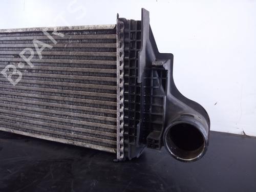 Intercooler MERCEDES-BENZ M-CLASS (W164)  | BP25742180M30 