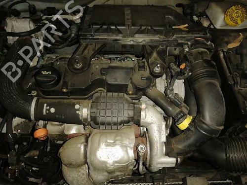 Viskermotor bakrute CITROËN C3 II (SC_)  | BP5080935M102 