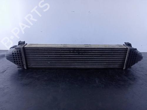 Intercooler LAND ROVER FREELANDER 2 (L359)  | BP19340091M30 