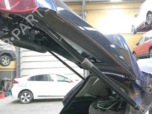 tailgate-lift-support-citroen-c4-picasso-ii-2013-32732484 main image