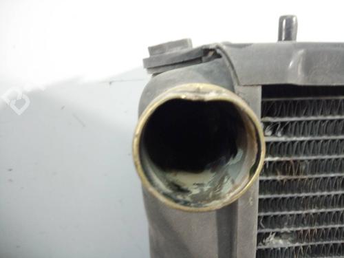Water radiator LAND ROVER DISCOVERY I (LJ)  | BP6792030M31 
