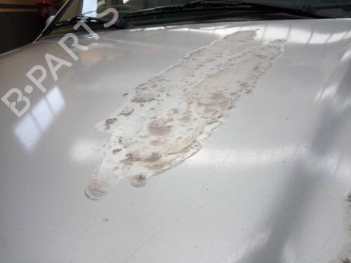 Hood MERCEDES-BENZ M-CLASS (W163)  | BP17456220C1 