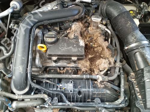 Used Engine Engine SKODA FABIA IV (PJ3) 1.0 TSI (95 hp) 33465885 33465885