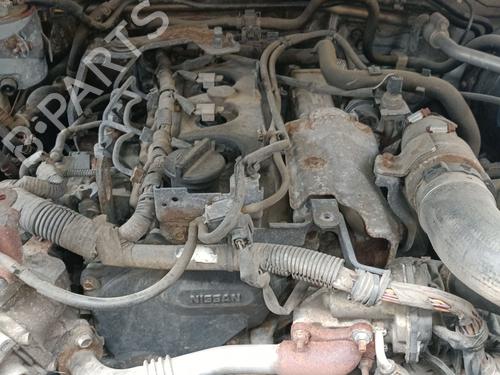 Used Engine Engine NISSAN PATHFINDER III (R51) 2.5 dCi 4WD (171 hp) 36432801 36432801