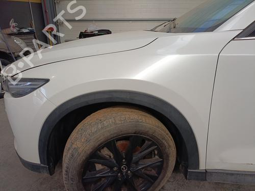 BP29966877C41 main image