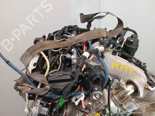 Engine BMW X3 (G01, F97, G08) xDrive 20 d Mild-Hybrid | BP34692159M1 - Image 6