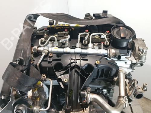 Engine AUDI Q5 (8RB) 2.0 TDI quattro | BP31249632M1