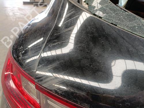 Tailgate RENAULT MEGANE IV Hatchback (B9A/M/N_) 1.5 dCi 110 (B9A3) | BP28425932C6