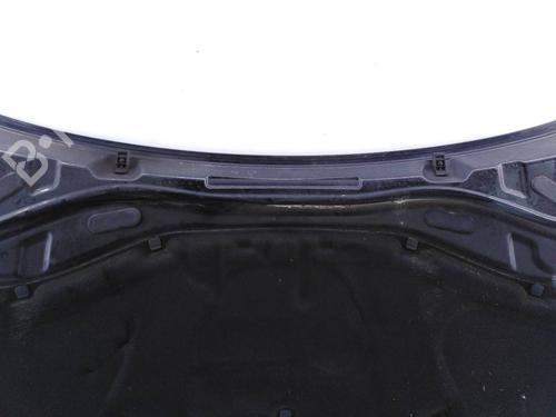 Motorhjelm VW TOUAREG (7LA, 7L6, 7L7)  | BP8340389C1 