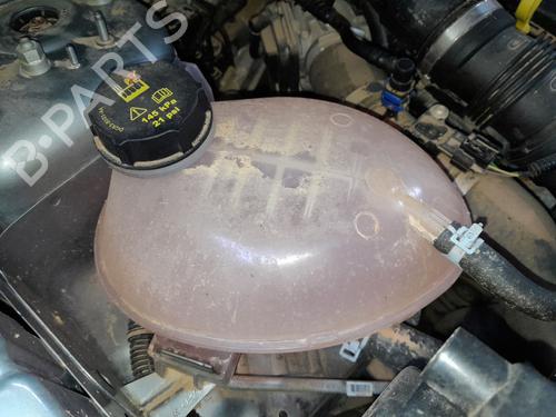 Ekspansjonstank FORD ECOSPORT 1.0 EcoBoost (125 hp) 25755649