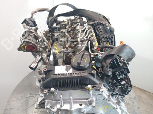 Engine HYUNDAI i20 II (GB, IB) 1.4 CRDi | BP31641899M1  - Image 6