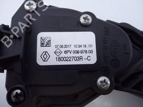 Pedal DACIA SANDERO II 1.5 dCi 75 / Blue dCi 75 (B8JW, B8M4, B8AH, B8M7, B8M6) | BP12495005I4 