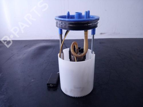 Fuel pump SEAT IBIZA IV (6J5, 6P1)  | BP19533974M76 