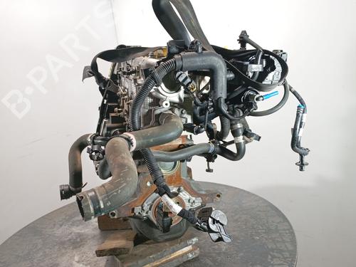 Engine FIAT PANDA (312_, 319_) 1.2 (312PXA1A) | BP30538609M1