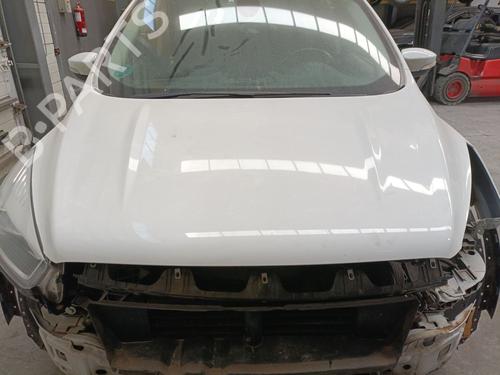 Used Hood FORD KUGA II (DM2) 1.5 TDCi (120 hp) 25864504
