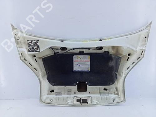 Hood FIAT FIORINO Box Body/MPV (225_) 1.3 D Multijet (225BXD1A, 225BXB1A, 225BXB11) | BP16089825C1 
