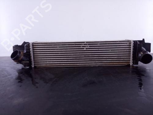 Intercooler BMW X1 (F48) sDrive 20 d (190 hp) 25742201