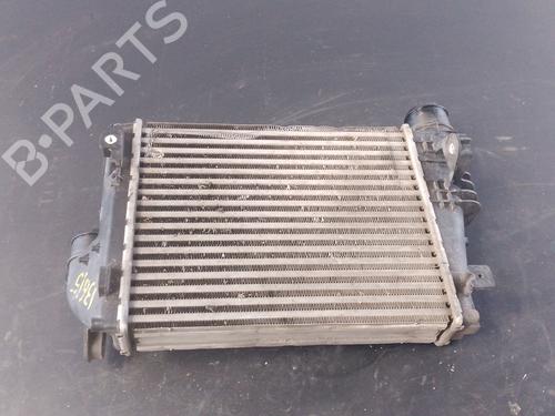 Intercooler FIAT SCUDO Van 2.0 Multijet 145 (506) | BP28141004M30 