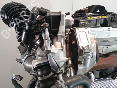 Engine VW TIGUAN (AD1, AX1) 2.0 TDI | BP31249629M1 