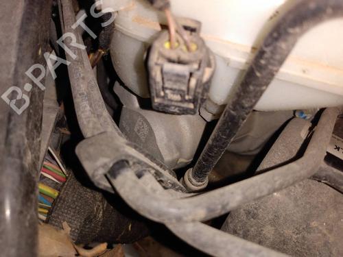 BP20674652M77 main image