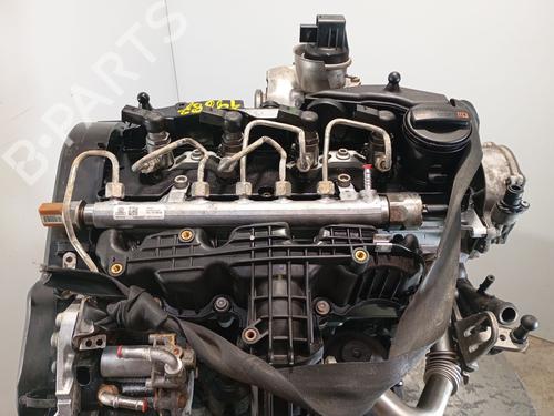 Engine SEAT IBIZA IV (6J5, 6P1) 1.6 TDI | BP32363114M1 