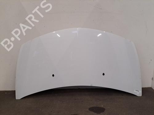 Used Hood RENAULT CLIO III (BR0/1, CR0/1) 1.5 dCi (C/BR0G, C/BR1G) (68 hp) 29499014
