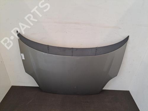 Hood FIAT GRANDE PUNTO (199_) 1.3 D Multijet | BP28396902C1 