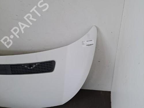 Hood FIAT SCUDO Bus (270_, 272_) 2.0 D Multijet | BP28390488C1