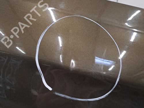 Left front fenders CITROËN C4 II (NC_) 1.6 HDi 115 | BP28403865C41 