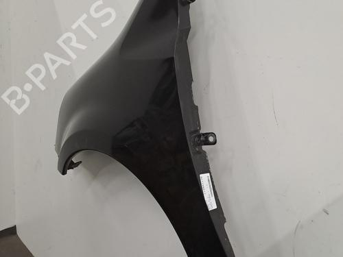 Left front fenders RENAULT MODUS / GRAND MODUS (F/JP0_) 1.4 (JP01, JP0J) | BP29843319C41