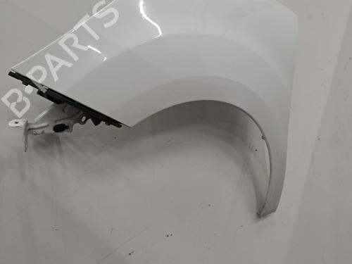 Left front fenders CITROËN C3 II (SC_) 1.6 BlueHDi 100 | BP29843321C41