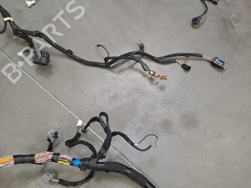 Wiring harness RENAULT MASTER III Van (FV)  | BP28401669E16