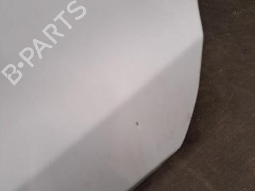 Left front door FORD FIESTA VI (CB1, CCN) 1.4 TDCi | BP28396387C2 